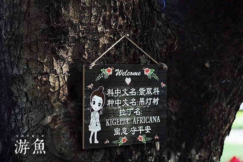 娱乐圈的模范夫妻都有哪些?知识星球-专业知识共享平台
